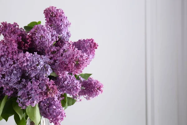 Vackra Lila Blommor Nära Vit Vägg Utrymme För Text — Stockfoto