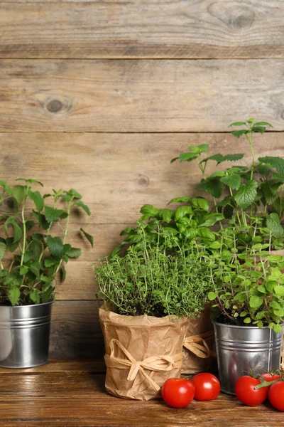 Olika Aromatiska Krukväxter Och Tomater Träbord — Stockfoto