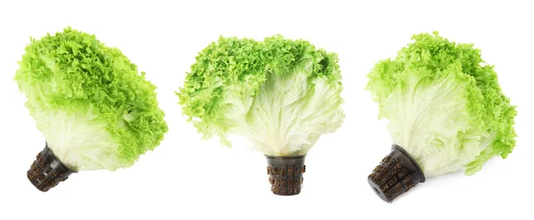 Collage Mit Frischem Salat Auf Weißem Hintergrund — Stockfoto