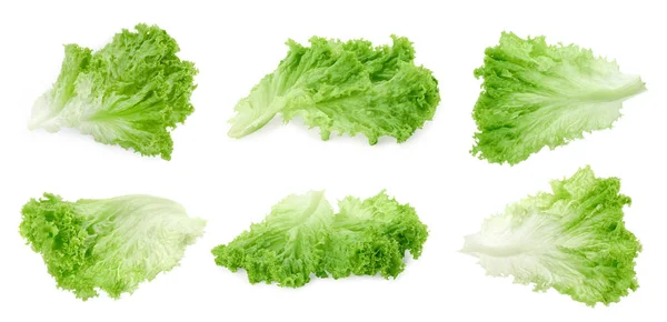 Collage Fresh Lettuce Leaves White Background — Stock Photo, Image