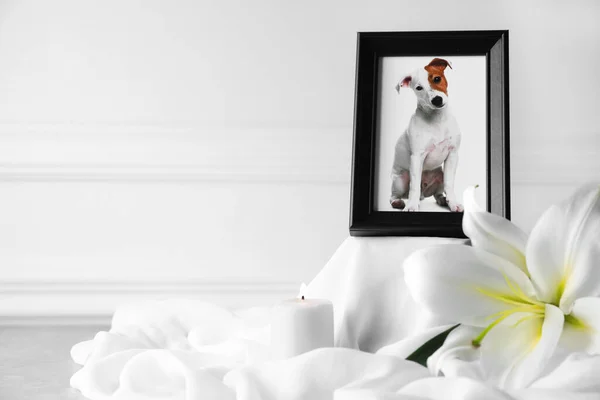 Pet funeral. Frame with picture of dog, burning candle and lily flower on white cloth, closeup. Space for text.