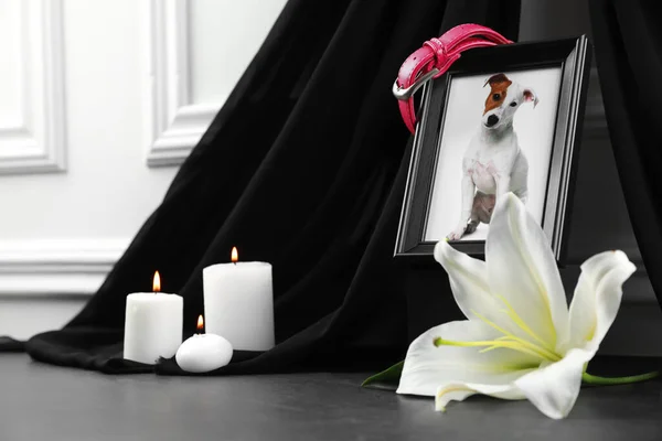 Рамка Зображенням Собаки Коміра Палаючих Свічок Квітки Лілії Сірому Столі — стокове фото