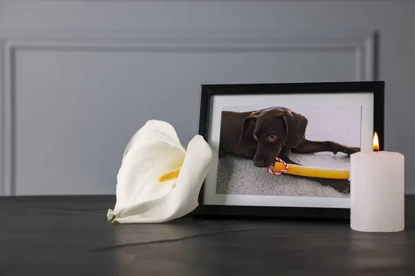 Frame with picture of dog, burning candles and calla flower on black table. Pet funeral
