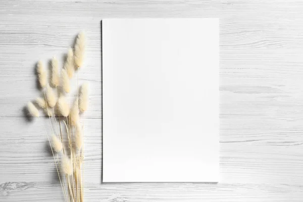 Leeres Blatt Papier Und Trockene Zierspitzen Auf Weißem Holztisch Flach — Stockfoto