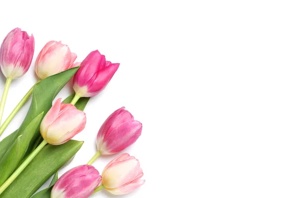 Красивые Розовые Цветы Тюльпан Изолированы Белом Вид Сверху — стоковое фото