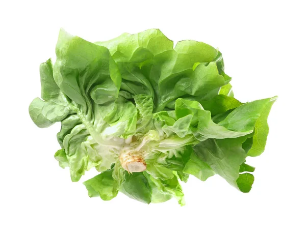 Friss Zöld Vajas Salátafej Fehér Alapon Izolálva — Stock Fotó