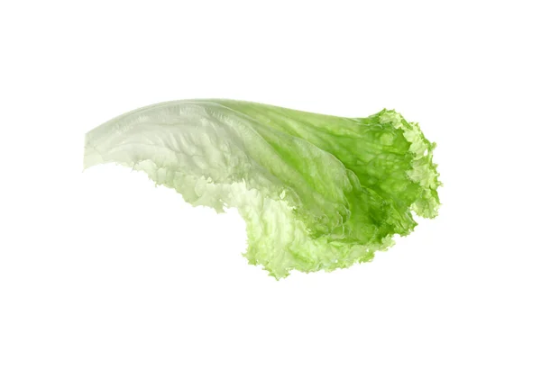 白に孤立した1枚の緑のレタスの葉 サラダグリーン — ストック写真