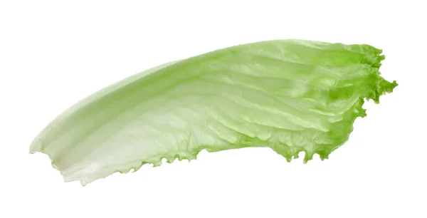 Ett Grönt Salladsblad Isolerat Vitt Salladsväxter — Stockfoto