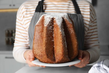 Mutfakta pudra şekerle süslenmiş leziz Pandoro pastası tutan kadın, yakın plan. Geleneksel İtalyan pastası