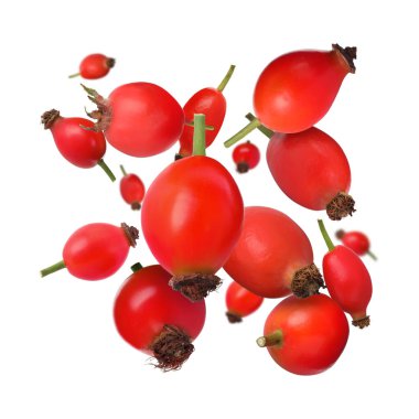 Beyaz arka planda düşen olgun gül kalçası üzümleri