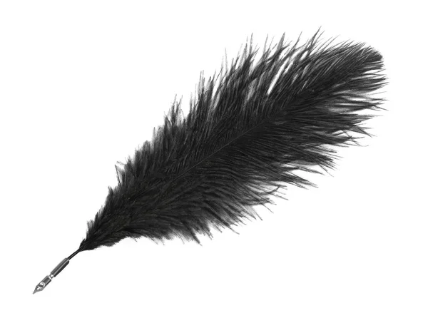 Beyaz Arkaplanda Siyah Gür Tüy Kalem — Stok fotoğraf