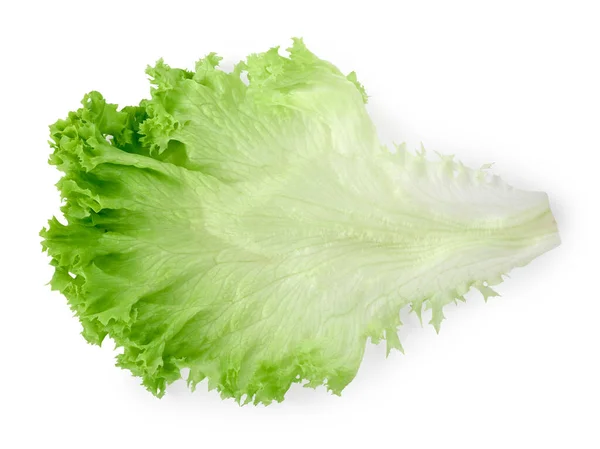 Listy Čerstvého Salátu Izolované Bílém Zelené Saláty — Stock fotografie