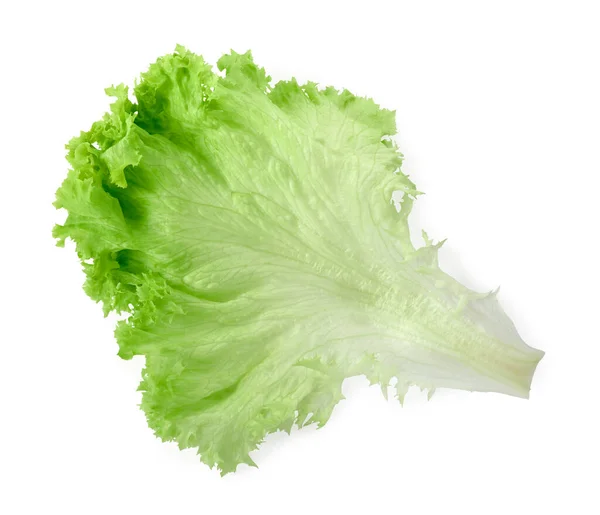 Blatt Von Frischem Salat Isoliert Auf Weißem Salatgemüse — Stockfoto