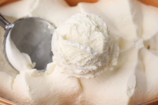 맛있는 바닐라 아이스크림을 용기에 응고한다 — 스톡 사진