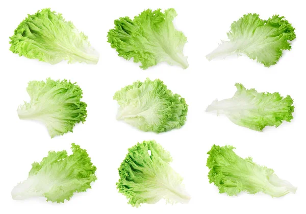 Collage Mit Frischen Salatblättern Auf Weißem Hintergrund — Stockfoto
