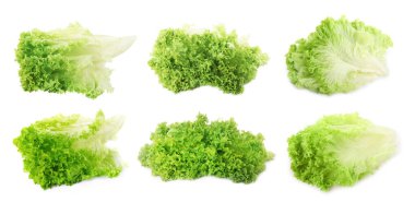 Beyaz arka planda taze marul kolajı