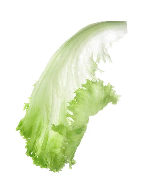 白で隔離される新鮮な緑のレタスの葉 — ストック写真