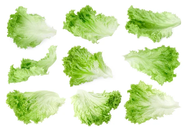 Koláž Čerstvými Listy Salátu Bílém Pozadí — Stock fotografie