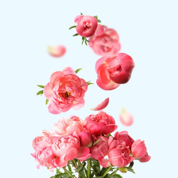 淡い青の背景にピンク色の牡丹の束に花芽と花弁が飛んでいます 美しい花束 — ストック写真