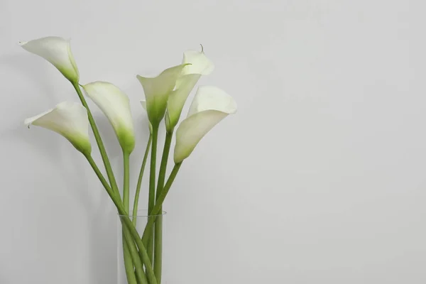 Schöne Calla Lilienblüten Glasvase Auf Weißem Hintergrund Raum Für Text — Stockfoto