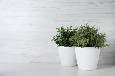 Beyaz ahşap masa üzerinde farklı yapay saksı bitkileri, metin için yer