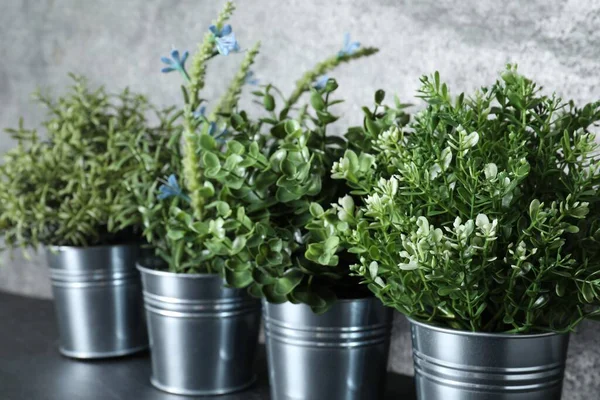 Beda Buatan Pot Herbal Atas Meja Gelap Closeup — Stok Foto