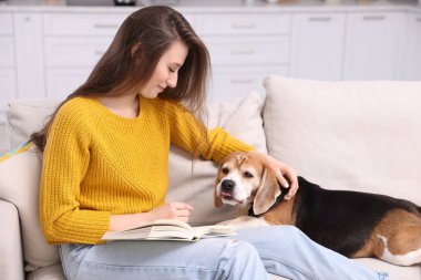 Mutlu genç bir kadın evdeki kanepede sevimli Beagle köpeğinin yanında kitap okuyor. Sevimli hayvan