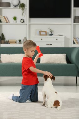 Küçük çocuk evde sevimli köpeğiyle oynuyor. Sevimli hayvan.