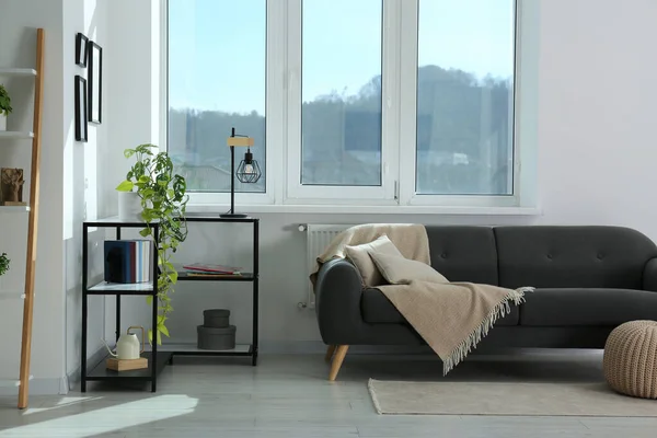 Stilvolles Wohnzimmer Mit Couch Und Zimmerpflanzen Fenster Innenarchitektur — Stockfoto