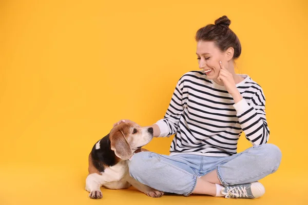 Happy young woman with cute Beagle dog on orange background. Lovely pet
