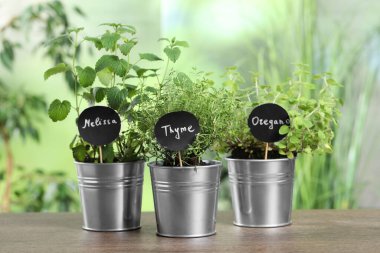 Ahşap masada farklı aromatik saksılar var.