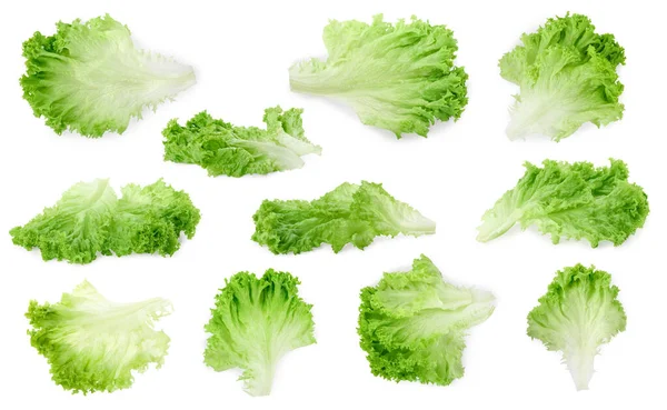 Koláž Čerstvými Listy Salátu Bílém Pozadí — Stock fotografie