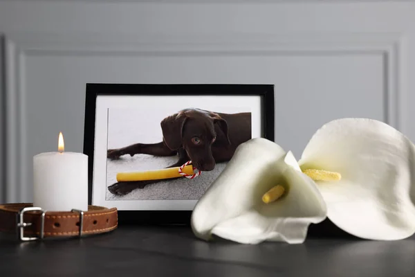 Frame with picture of dog, collar, burning candles and calla flowers on black table, closeup. Pet funeral