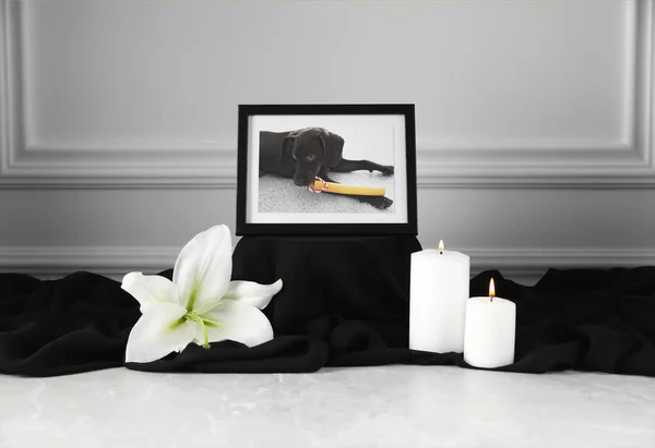 明るい灰色のテーブルの上に犬 燃えるろうそくとユリの花の写真とフレーム ペット葬儀 — ストック写真