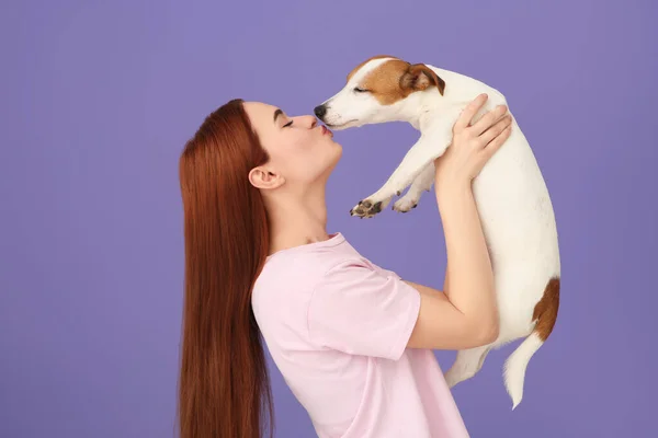 stock image Woman kissing cute Jack Russell Terrier dog on violet background