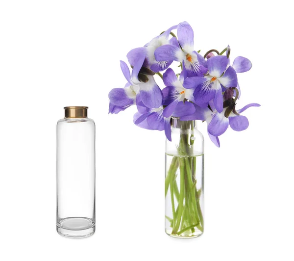 Stilvolle Vase Voller Schöner Violetter Blumen Und Leerer Auf Weißem — Stockfoto