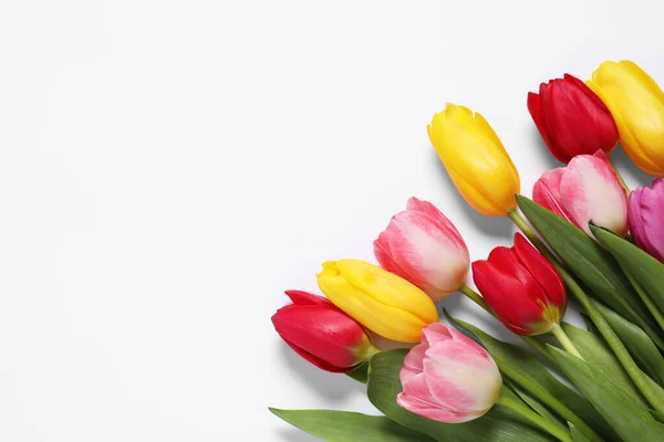 Красиві Різнокольорові Тюльпани Білому Тлі Плоскі Простір Тексту — стокове фото