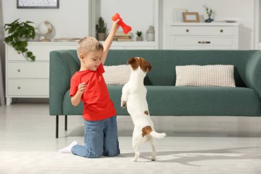 Küçük çocuk evde sevimli köpeğiyle oynuyor, mesaj için yer var. Sevimli hayvan.