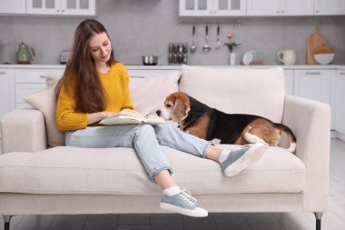 Güzel genç bir kadın evdeki kanepede sevimli Beagle köpeğinin yanında kitap okuyor. Sevimli hayvan