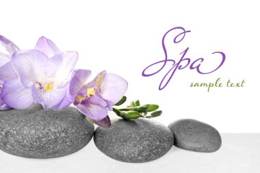 Spa taşları ve frezya açık mermer masa üzerinde beyaz arka plan, yakın çekim. Metin için alanı olan tasarım