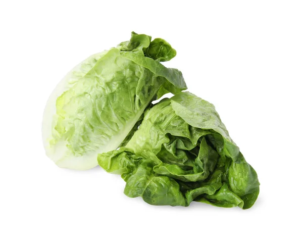 在白色上分离的新鲜绿松菜 — 图库照片