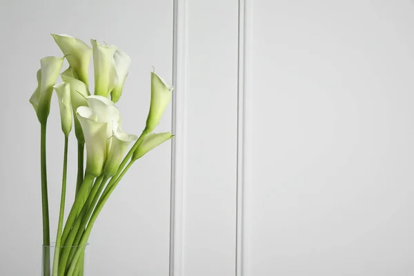Schöne Calla Lilienblüten Auf Weißem Hintergrund Platz Für Text — Stockfoto