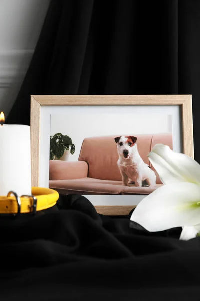 Frame with picture of dog, collar, burning candle and lily flower on black cloth, closeup. Pet funeral