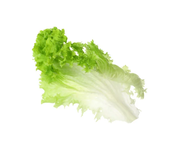 Friss Zöld Saláta Levél Elszigetelt Fehér — Stock Fotó