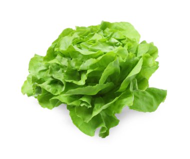 Taze yeşil marul kafası beyaza izole edilmiş.