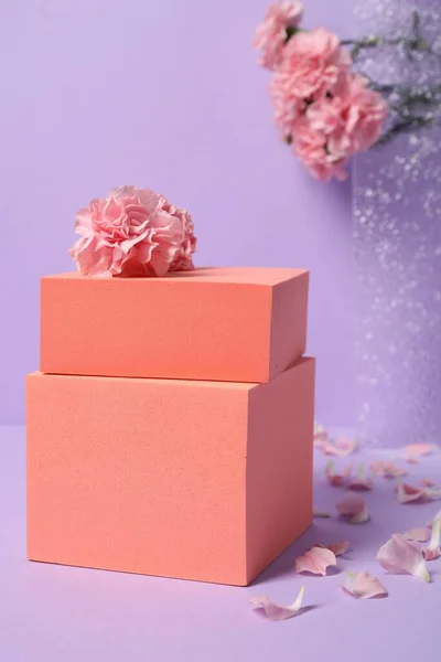 Figuras Geométricas Flores Cravo Rosa Fundo Violeta Claro Apresentação Elegante — Fotografia de Stock