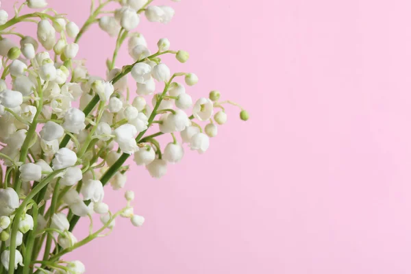 Vadi Çiçeklerinin Güzel Zambakları Pembe Arka Planda Yakın Plan Metin — Stok fotoğraf