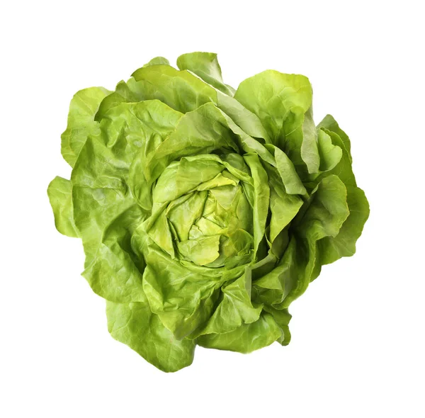 Fresh Green Butter Lettuce Head Isolated White Top View — Stock Photo, Image