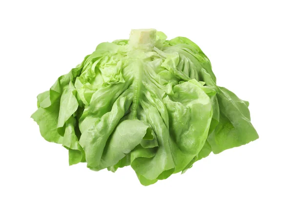 Fresh Green Butter Lettuce Head Isolated White — Stock Photo, Image