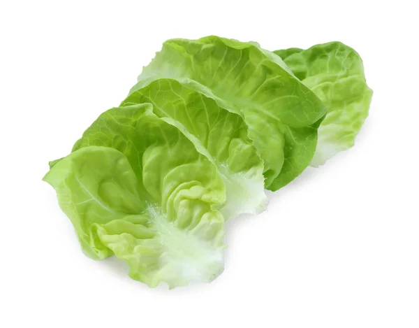 Fehér Alapon Izolált Friss Zöld Vajas Salátalevél — Stock Fotó